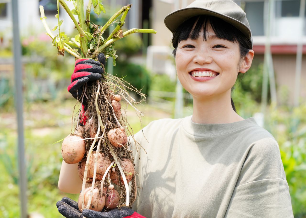 ６次産業企画支援事業
